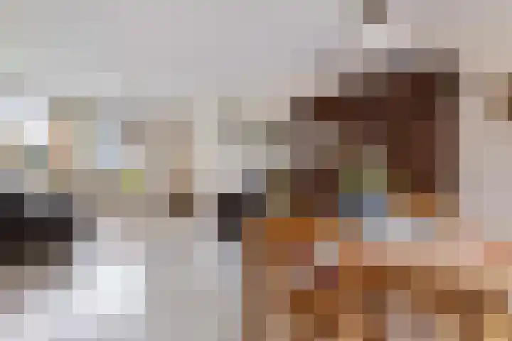van Goghstraat 18 Horst thumbnail 11