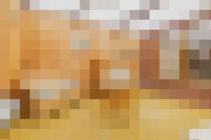 van Goghstraat 18 Horst thumbnail 18