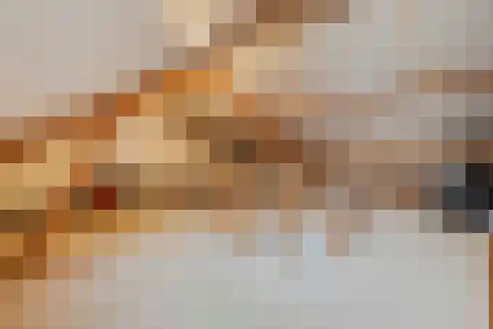 van Goghstraat 18 Horst thumbnail 30
