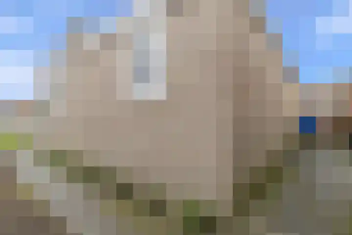 van Goghstraat 18 Horst thumbnail 34