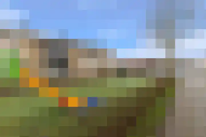 van Goghstraat 18 Horst thumbnail 4