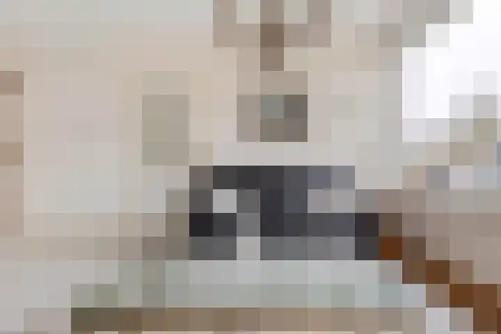 van Goghstraat 18 Horst thumbnail 8