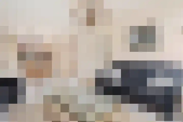 van Goghstraat 18 Horst thumbnail 9
