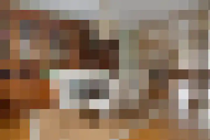 Van Goghstraat 2 Arnhem thumbnail 14
