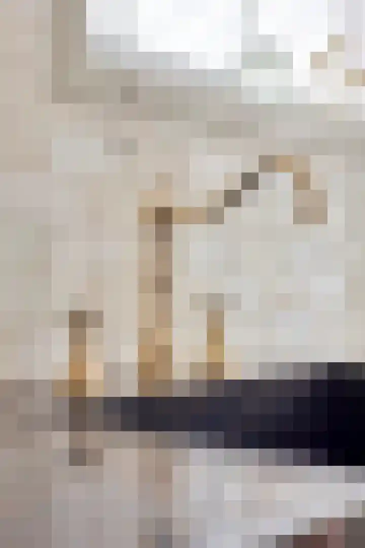 Van Goghstraat 2 Arnhem thumbnail 21