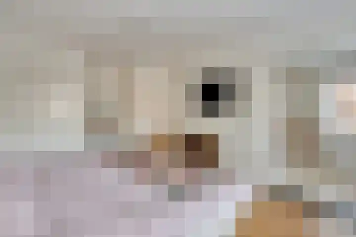 Van Goghstraat 2 Arnhem thumbnail 26