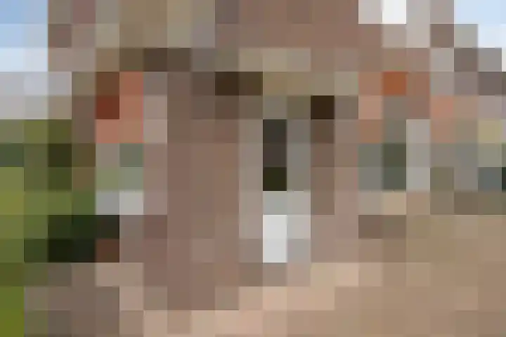 Van Goghstraat 2 Arnhem thumbnail 48