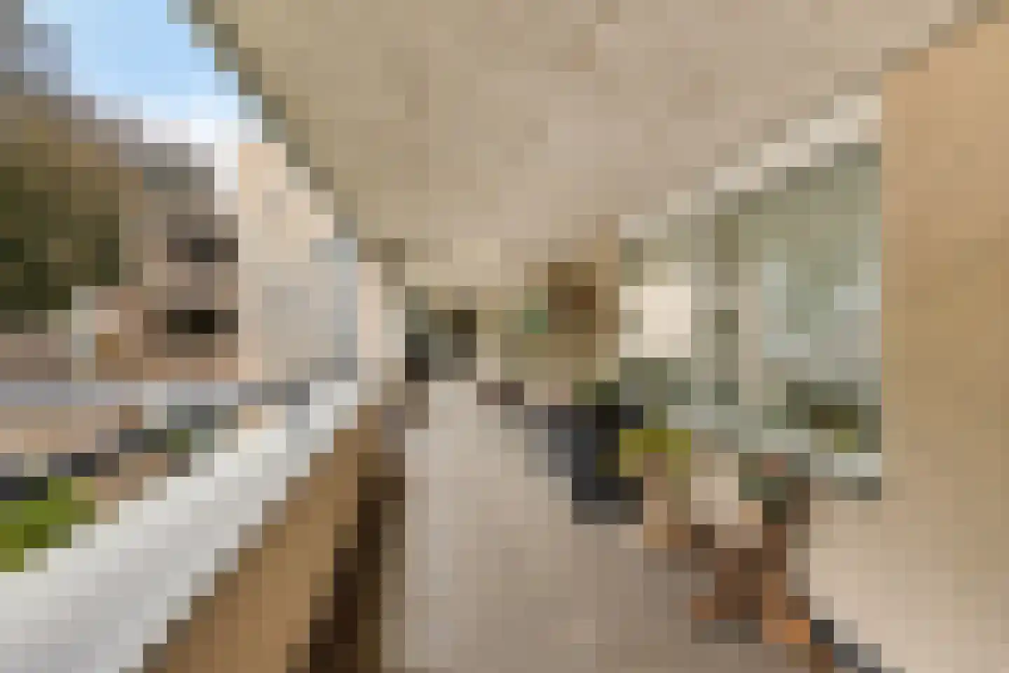 Van Goghstraat 2 C Veenoord thumbnail 11