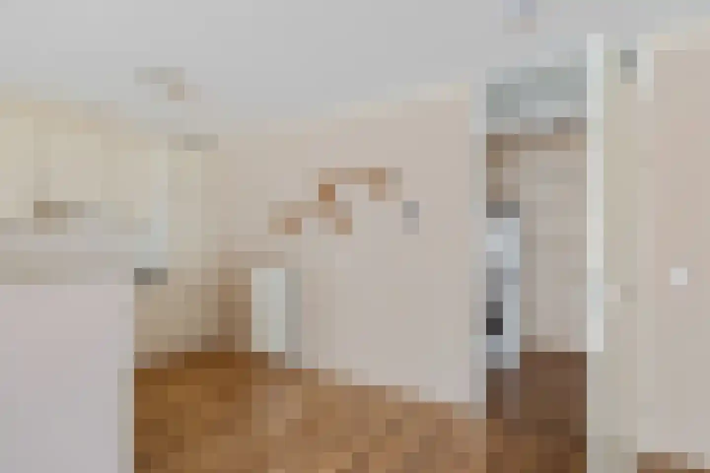 Van Goghstraat 2 C Veenoord thumbnail 25