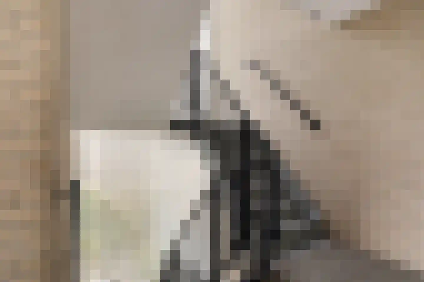 Van Goghstraat 2 C Veenoord thumbnail 38