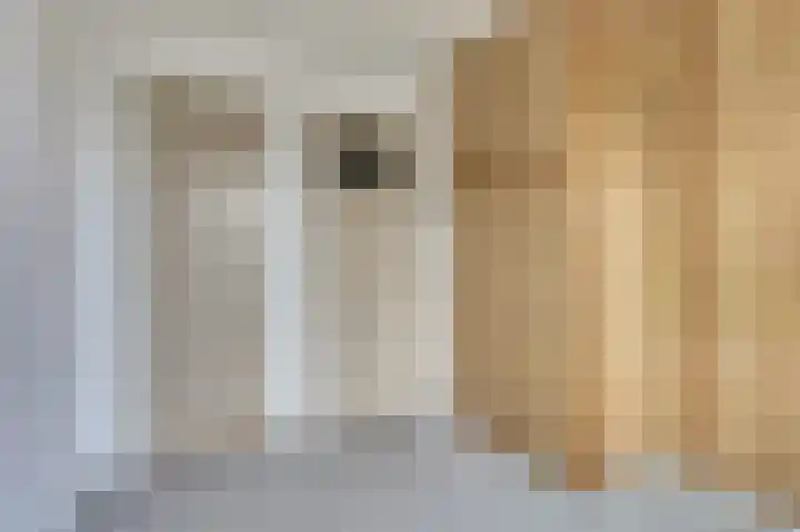 Van Goghstraat 2 Zoetermeer thumbnail 19