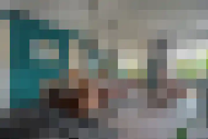 Van Goghstraat 20 Dedemsvaart thumbnail 10