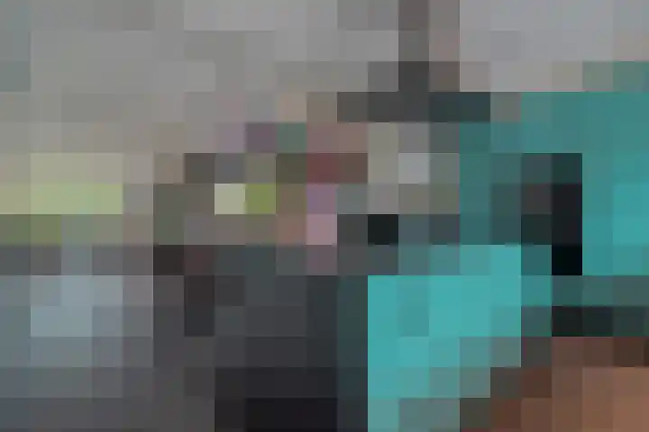 Van Goghstraat 20 Dedemsvaart thumbnail 12