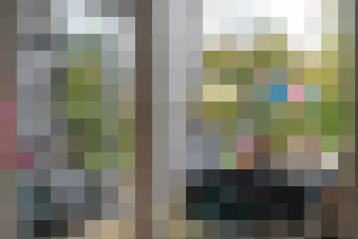 Van Goghstraat 20 Dedemsvaart thumbnail 20