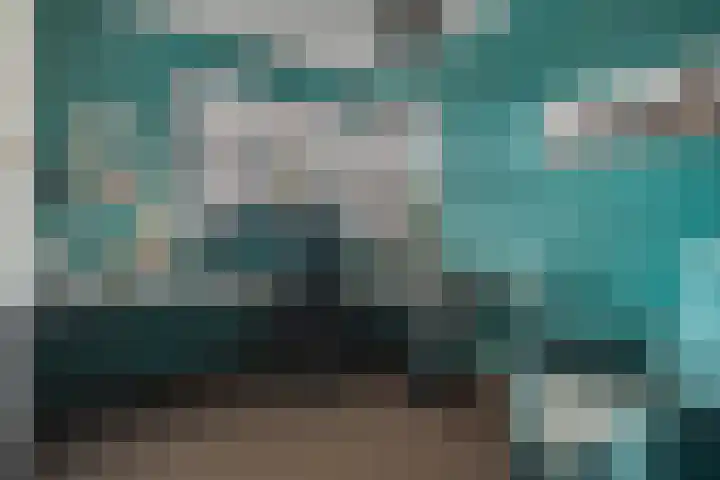 Van Goghstraat 20 Dedemsvaart thumbnail 22