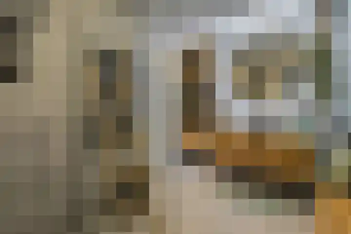 Van Goghstraat 20 Dedemsvaart thumbnail 25