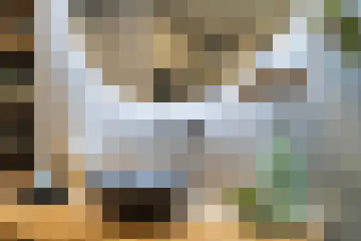 Van Goghstraat 20 Dedemsvaart thumbnail 28