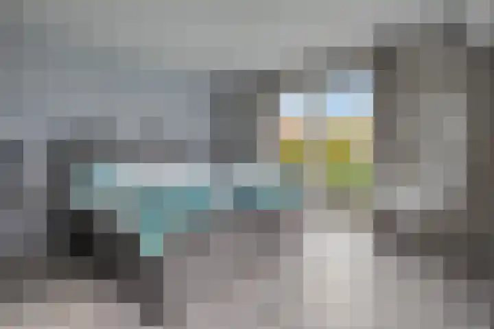 Van Goghstraat 20 Dedemsvaart thumbnail 29