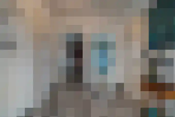 Van Goghstraat 20 Dedemsvaart thumbnail 33