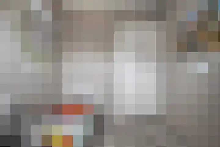 Van Goghstraat 20 Dedemsvaart thumbnail 37