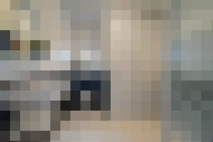Van Goghstraat 20 Dedemsvaart thumbnail 44