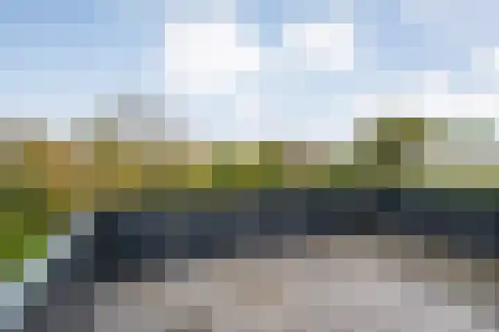 Van Goghstraat 20 Dedemsvaart thumbnail 46