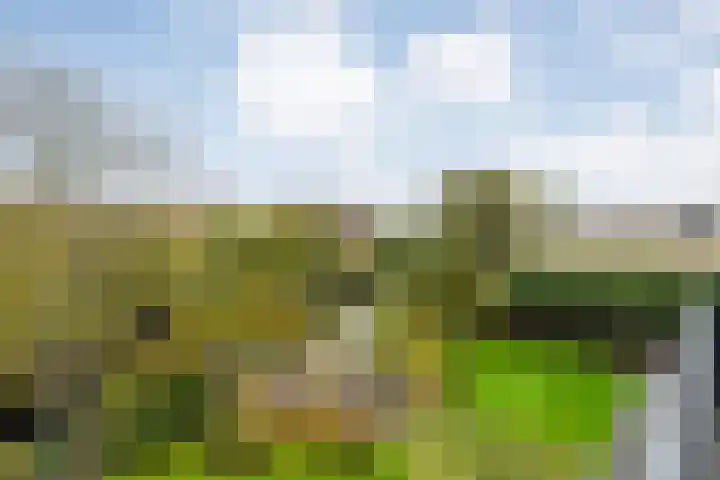 Van Goghstraat 20 Dedemsvaart thumbnail 48
