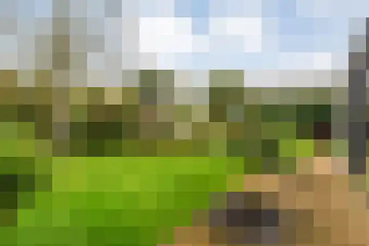 Van Goghstraat 20 Dedemsvaart thumbnail 53
