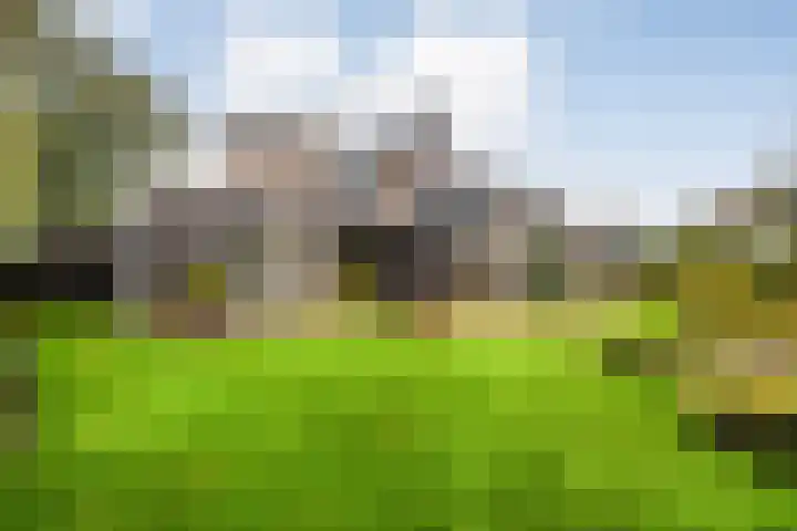 Van Goghstraat 20 Dedemsvaart thumbnail 54