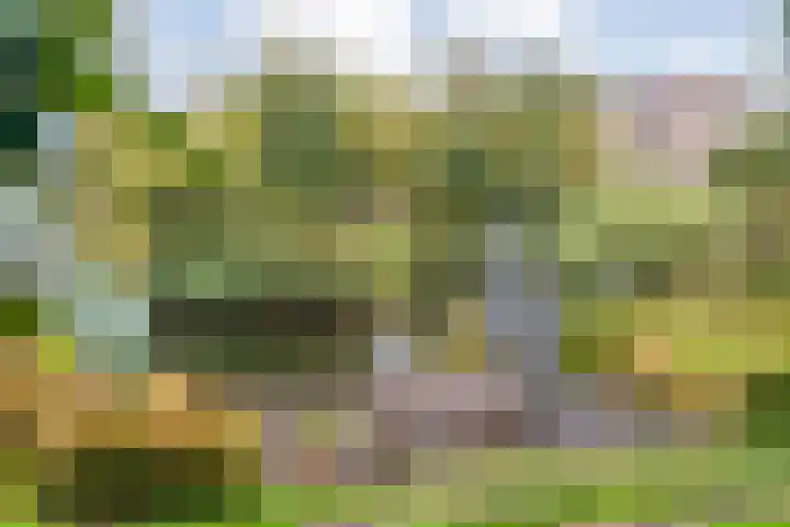 Van Goghstraat 20 Dedemsvaart thumbnail 55