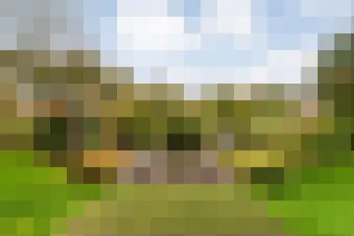 Van Goghstraat 20 Dedemsvaart thumbnail 56