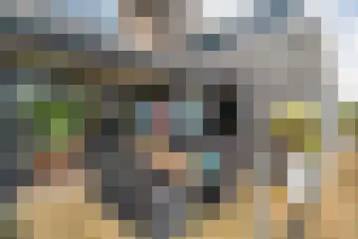Van Goghstraat 20 Dedemsvaart thumbnail 57