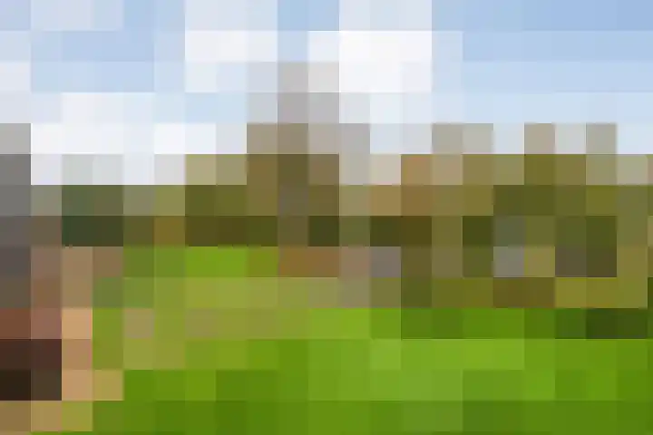Van Goghstraat 20 Dedemsvaart thumbnail 58