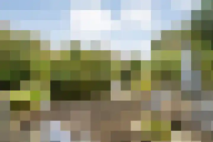 Van Goghstraat 20 Dedemsvaart thumbnail 59