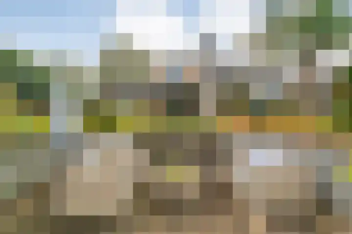 Van Goghstraat 20 Dedemsvaart thumbnail 60