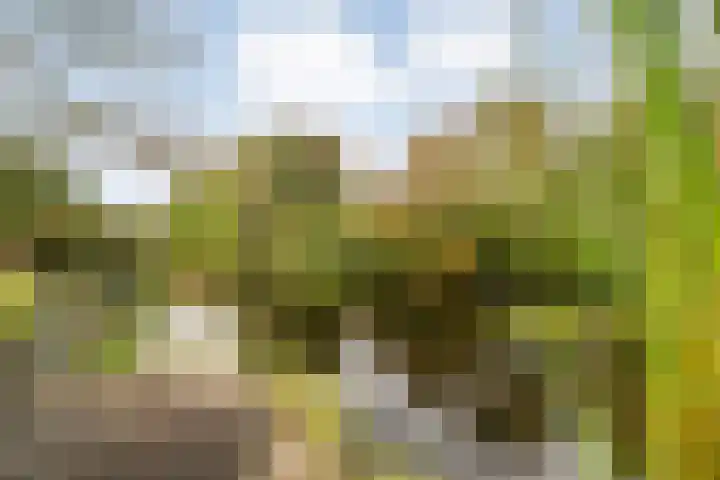 Van Goghstraat 20 Dedemsvaart thumbnail 61