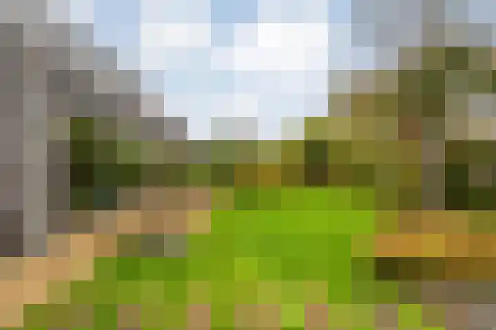 Van Goghstraat 20 Dedemsvaart thumbnail 62