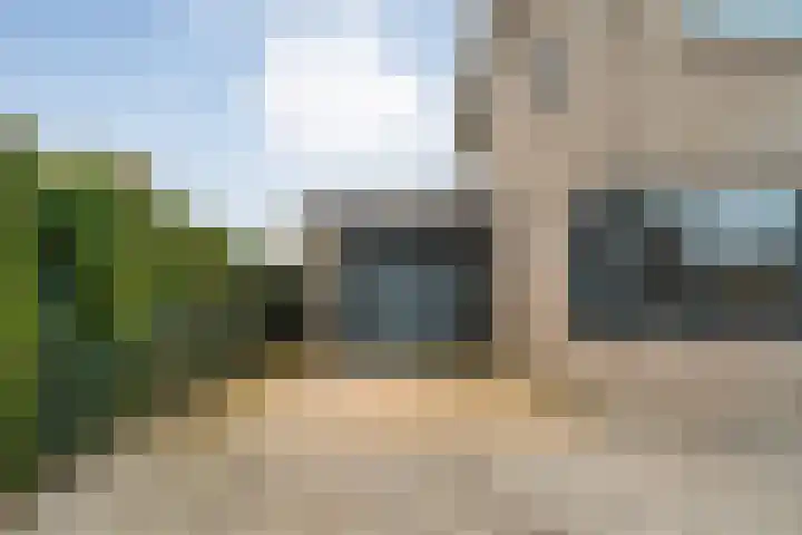 Van Goghstraat 20 Dedemsvaart thumbnail 63