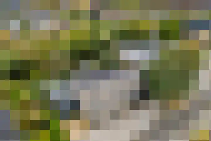 Van Goghstraat 20 Dedemsvaart thumbnail 67