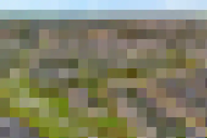 Van Goghstraat 20 Dedemsvaart thumbnail 69