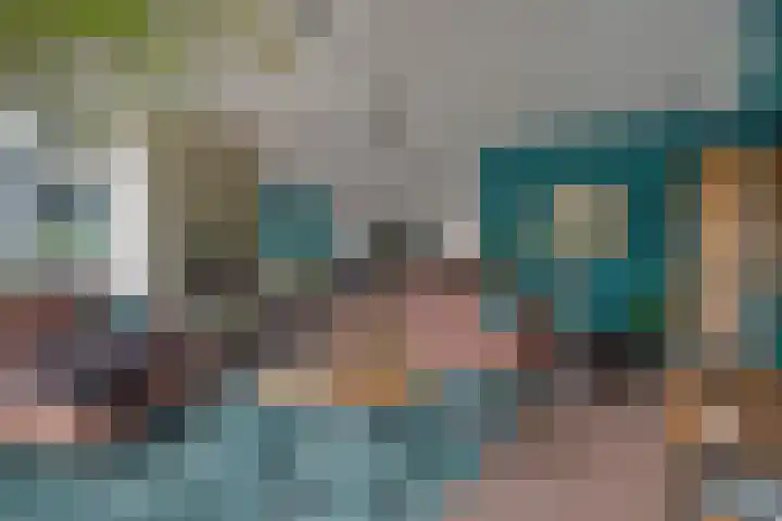 Van Goghstraat 20 Dedemsvaart thumbnail 7