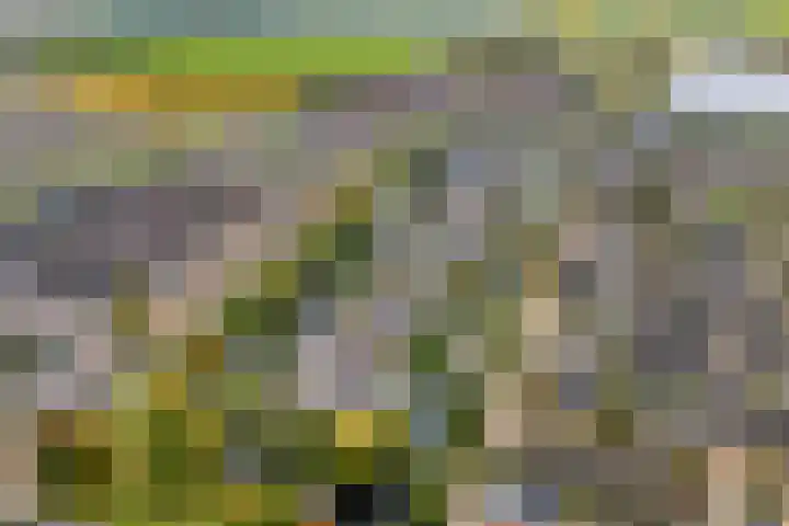 Van Goghstraat 20 Dedemsvaart thumbnail 70