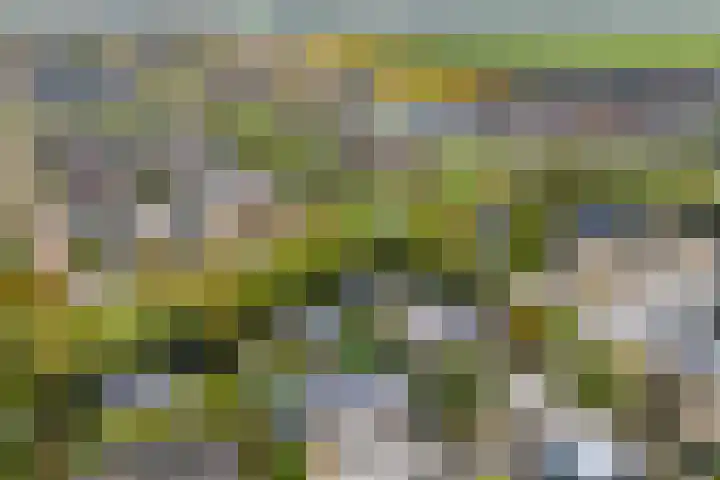 Van Goghstraat 20 Dedemsvaart thumbnail 72