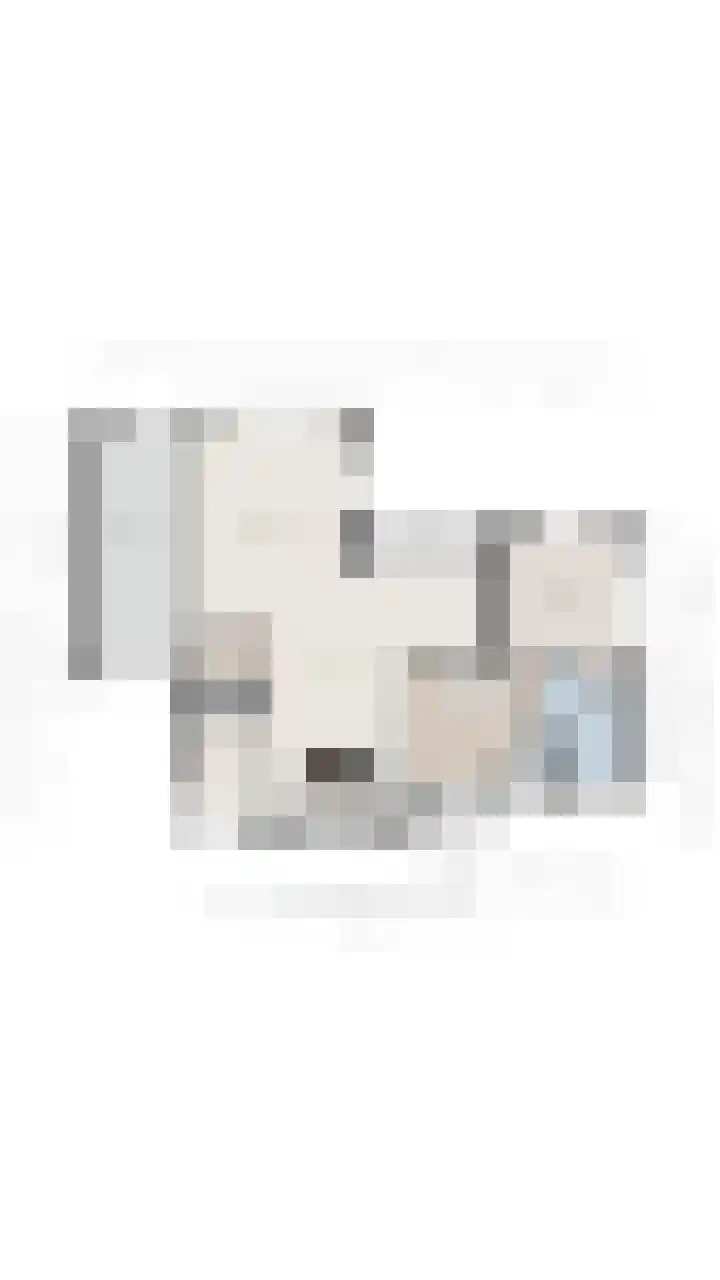 Van Goghstraat 20 Dedemsvaart thumbnail 73
