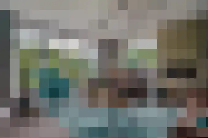 Van Goghstraat 20 Dedemsvaart thumbnail 8