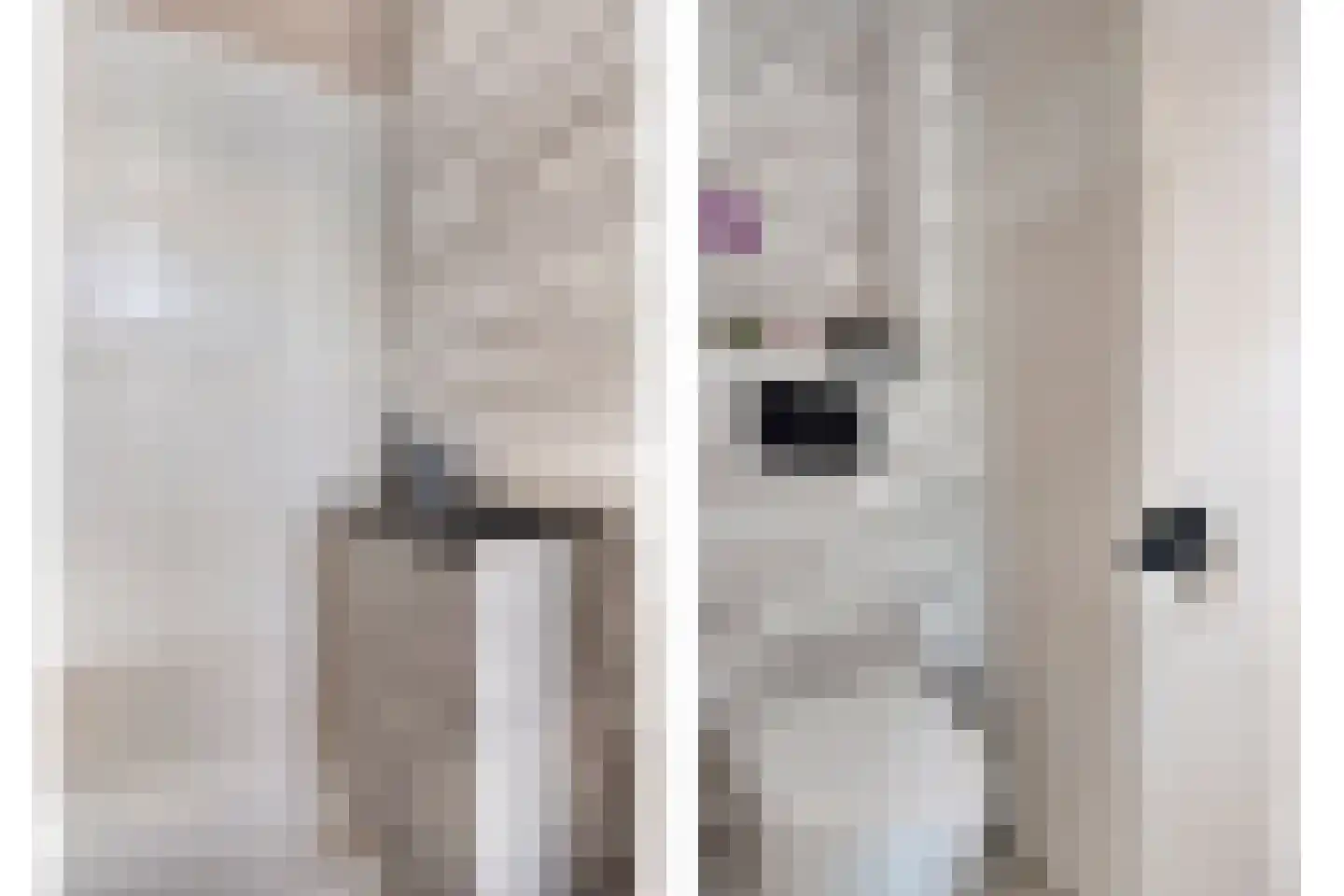 Van Goghstraat 23 Reeuwijk thumbnail 12