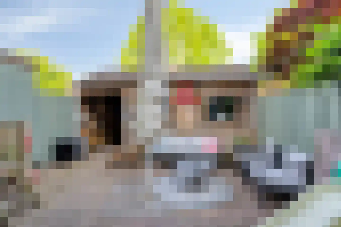 Van Goghstraat 23 Reeuwijk thumbnail 4