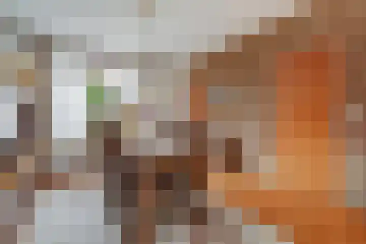 Van Goghstraat 25 Nunspeet thumbnail 15