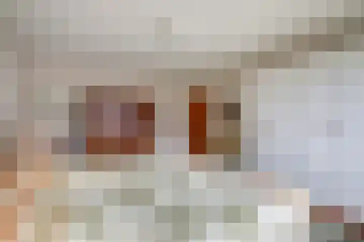 Van Goghstraat 25 Nunspeet thumbnail 20