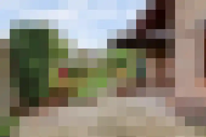 Van Goghstraat 25 Nunspeet thumbnail 33